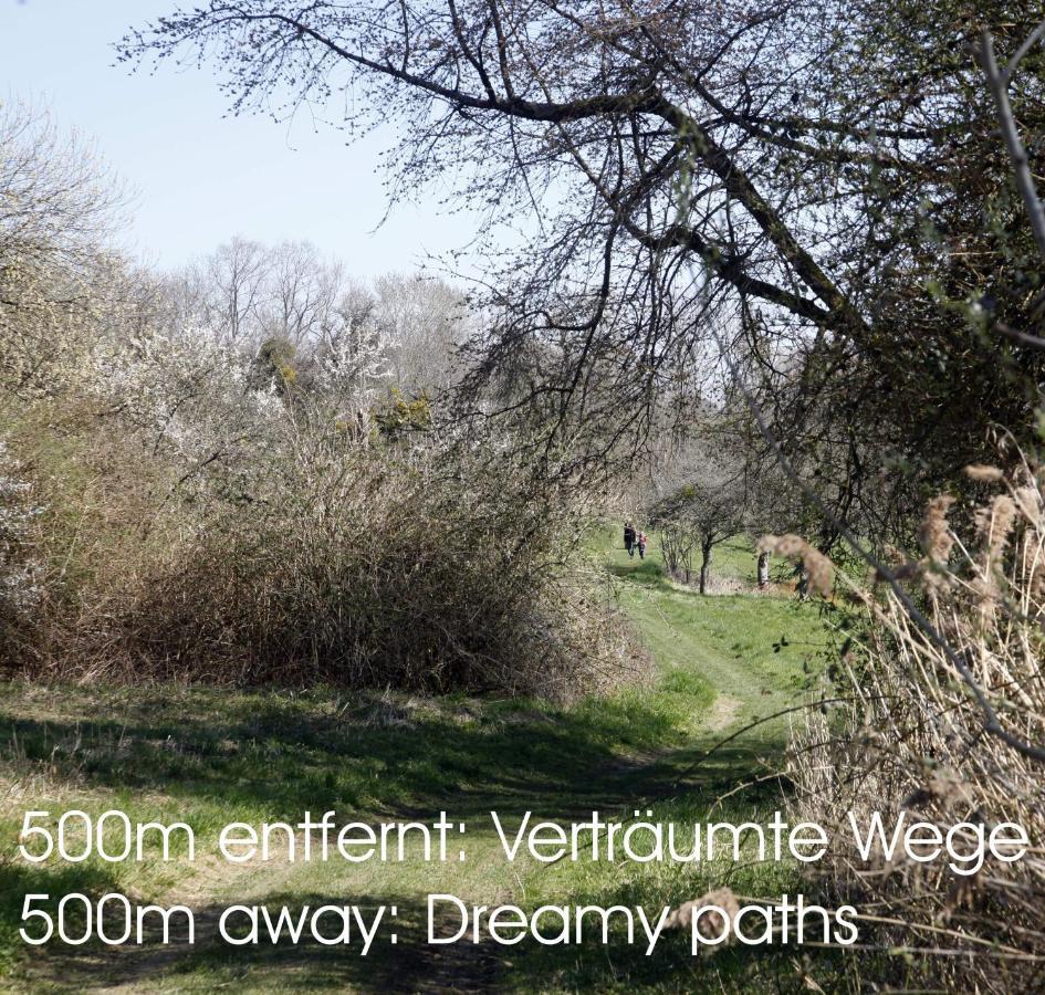 Passivhaus 750M Vom Bodensee -- 2X E-Bike Inklusive -- Neubau 2019 Am Ortsrand Ohningen Eksteriør billede